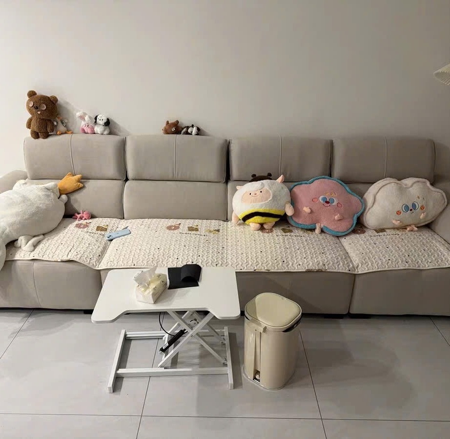 pluty